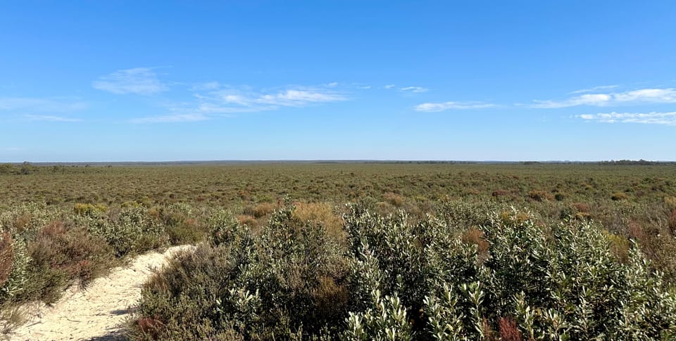 A desert life.